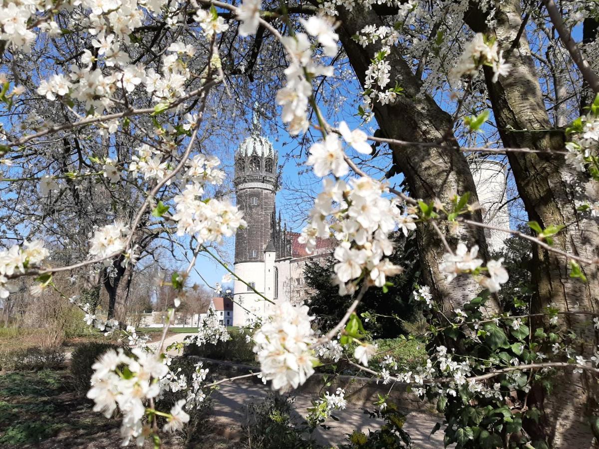 Fewo Rosenbluete Am Stadtpark Wittenberg ภายนอก รูปภาพ